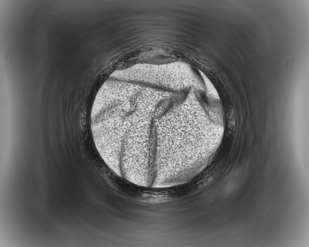 X0000086270559200704262018