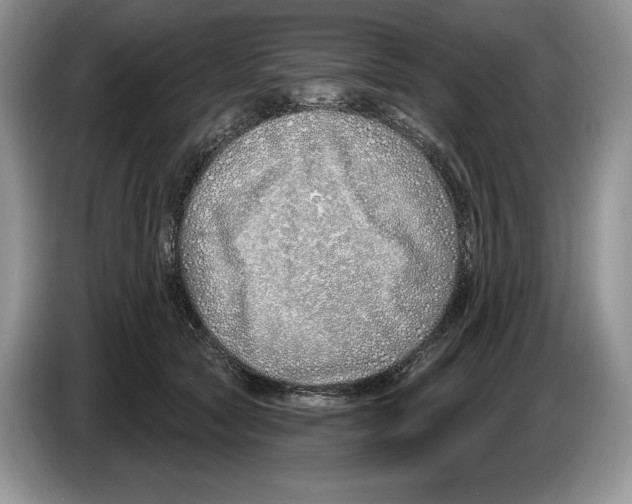X0000086270561200704262018