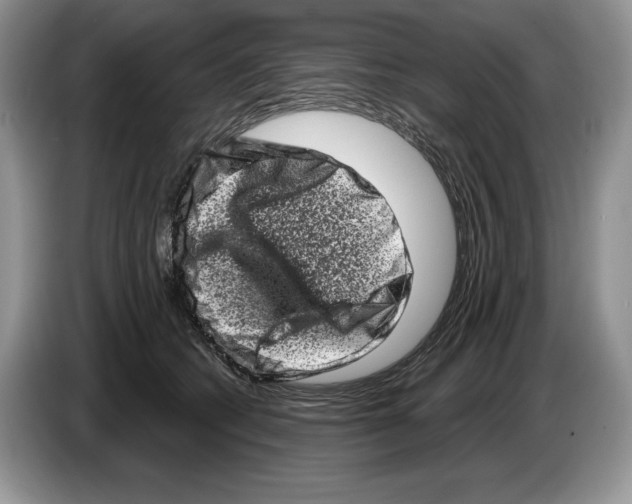X0000086270562200704262018