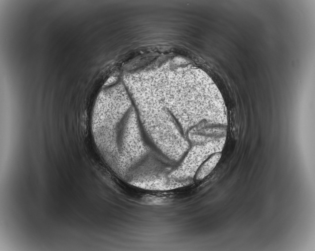 X0000086270563200704262018