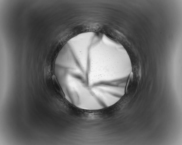 X0000086270564200704262018