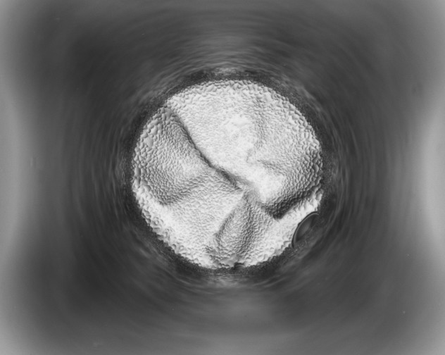 X0000086270565200704262018