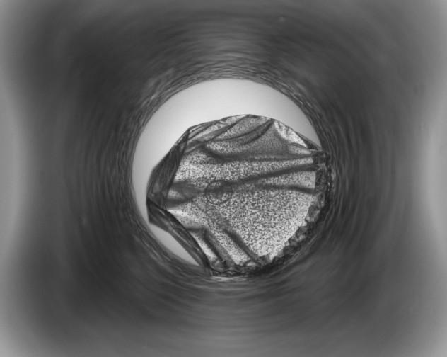 X0000086270568200704262018