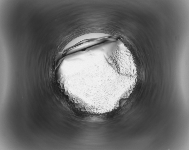 X0000086270569200704262019