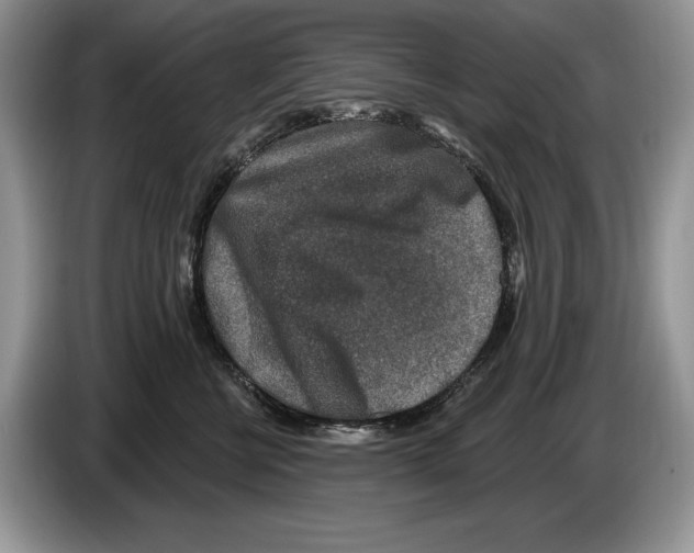 X0000086270570200704262019