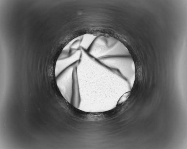 X0000086270571200704262019