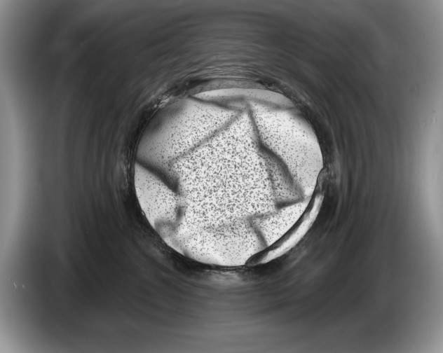 X0000086270572200704262019