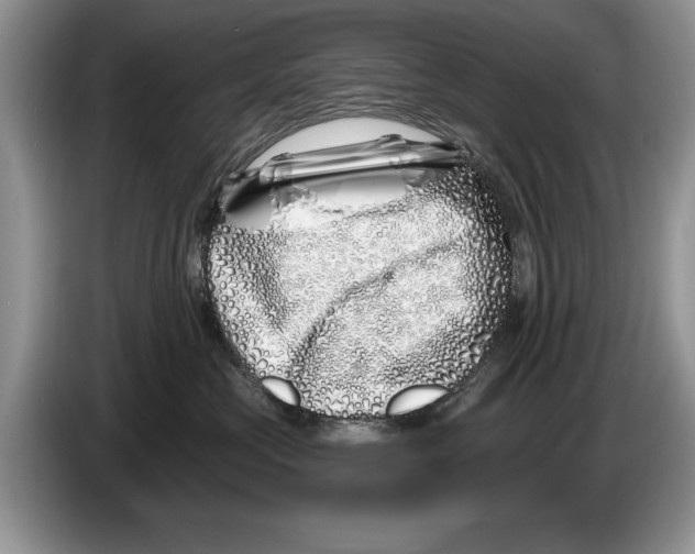 X0000086270573200704262019