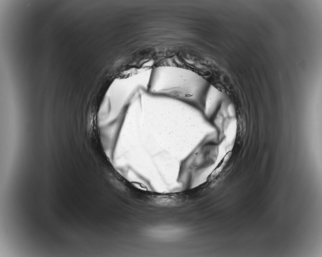 X0000086270574200704262019