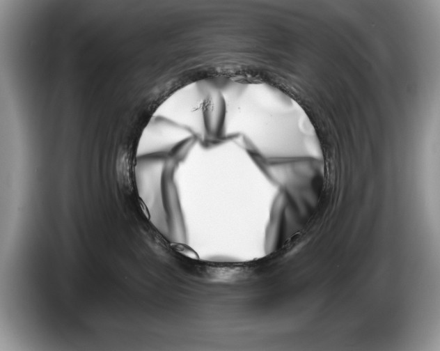 X0000086270575200704262019