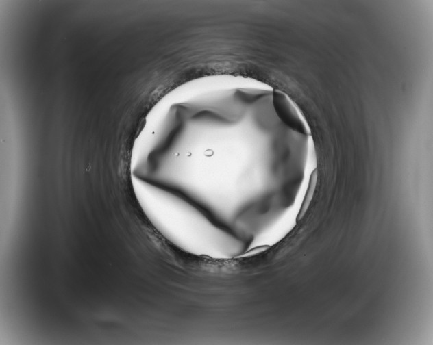 X0000086270576200704262019