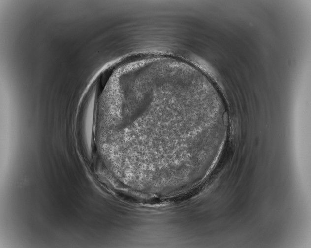 X0000086270580200704262018