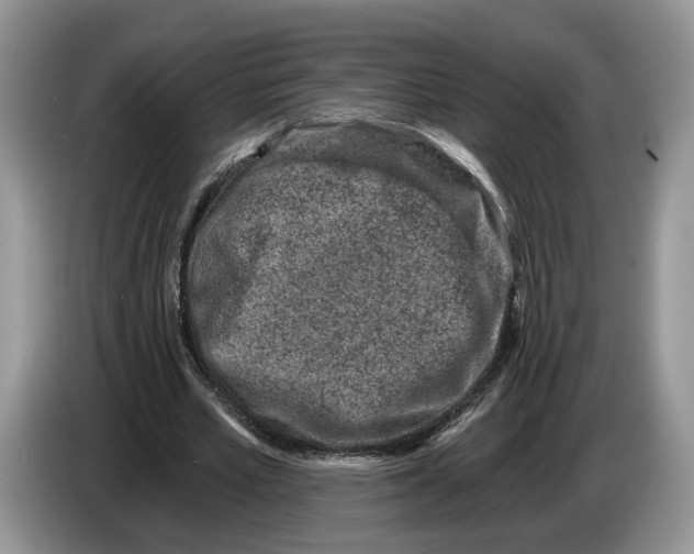 X0000086270581200704262018