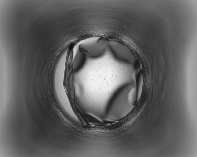 X0000086270585200704262018