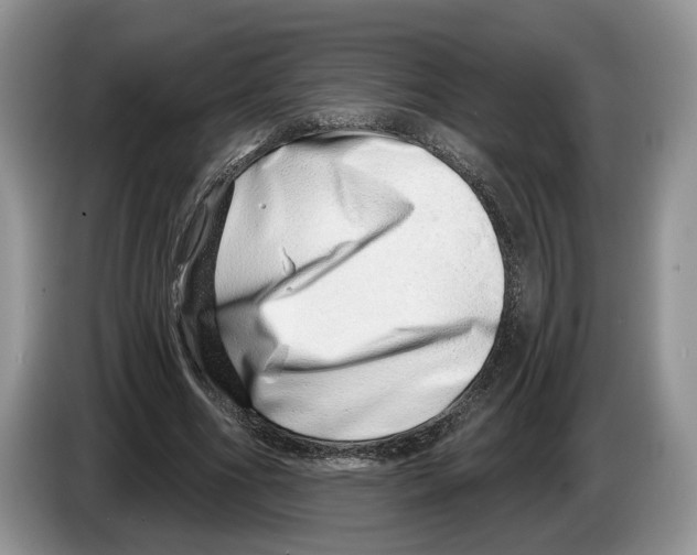 X0000086270586200704262018
