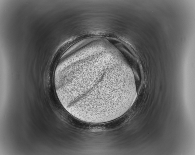 X0000086270587200704262018