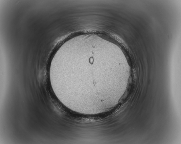 X0000086270588200704262018