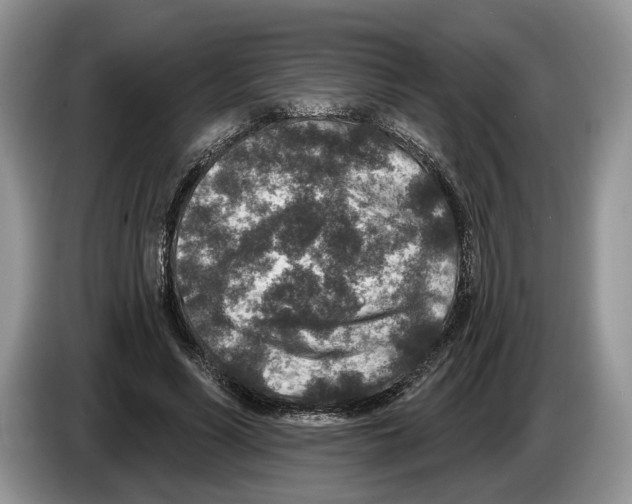 X0000086270590200704262018