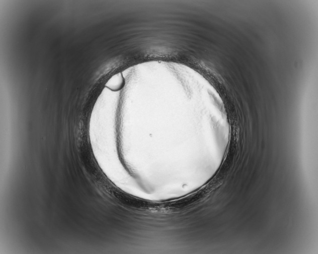 X0000086270591200704262018