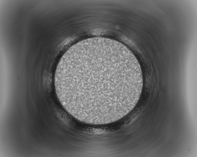 X0000086270592200704262018