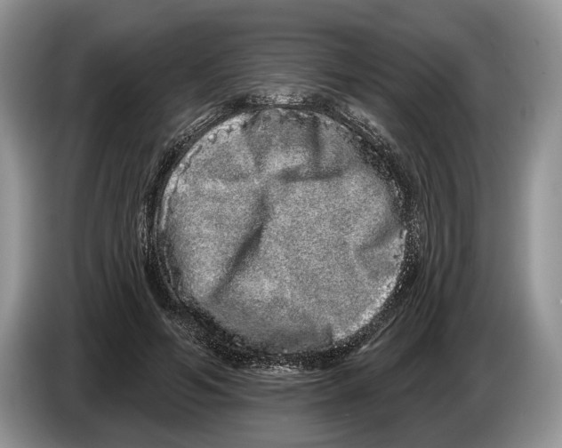 X0000086270594200704262018