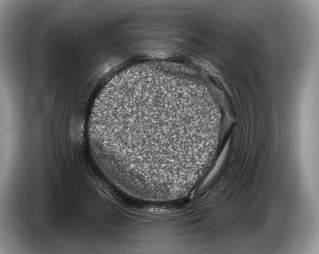 X0000086270596200704262018