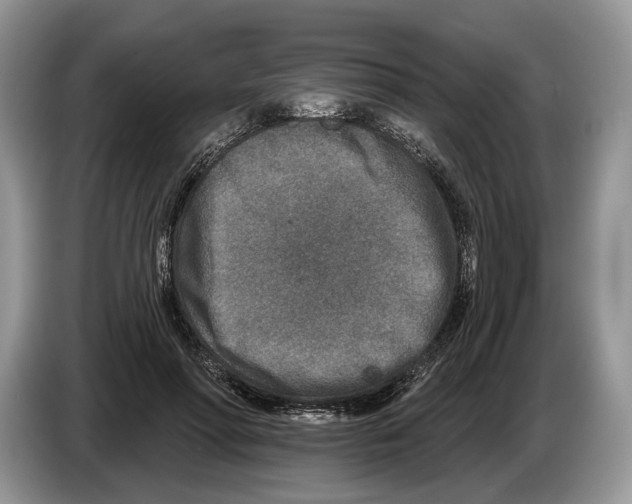 X0000086270598200704262018