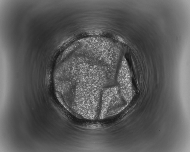 X0000086270600200704262018