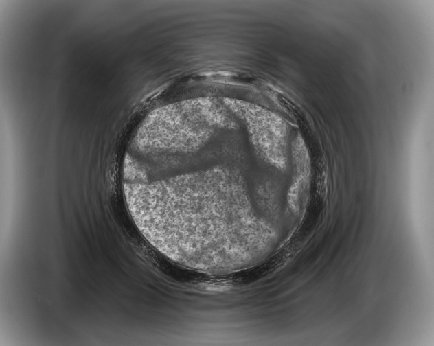 X0000086270604200704262018