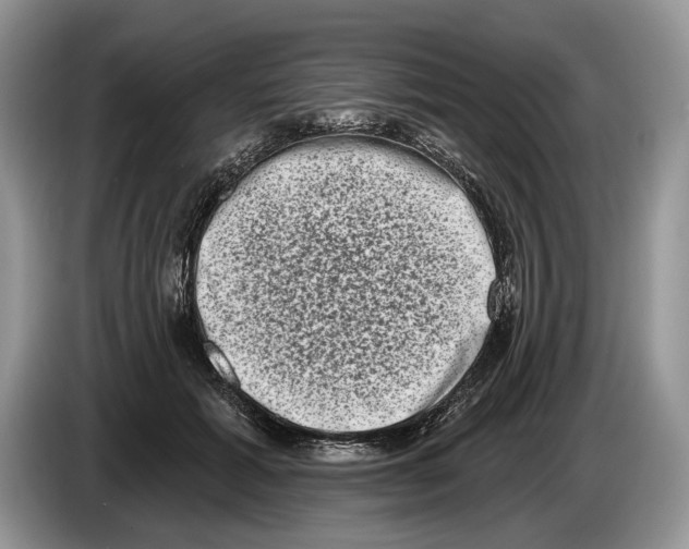 X0000086270605200704262018