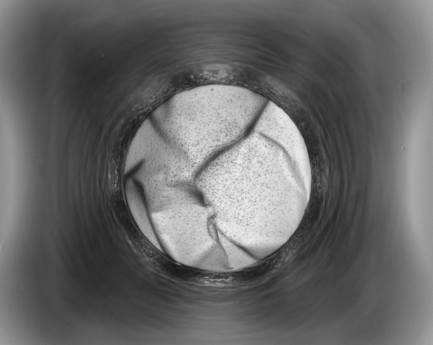 X0000086270606200704262018
