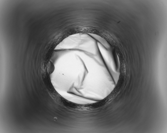 X0000086270607200704262018