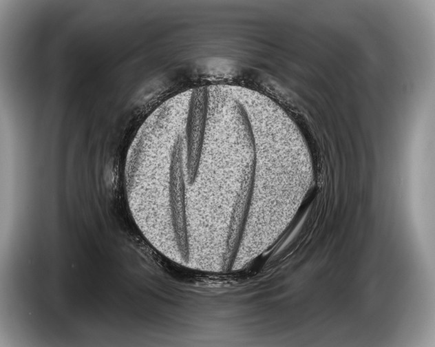 X0000086270608200704262018