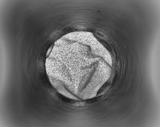 X0000086270609200704262018