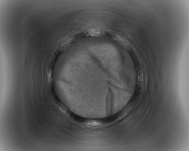 X0000086270610200704262018