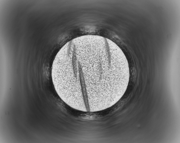 X0000086270612200704262018