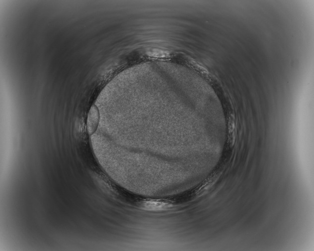 X0000086270614200704262017