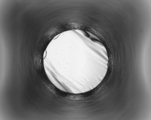 X0000086270615200704262017