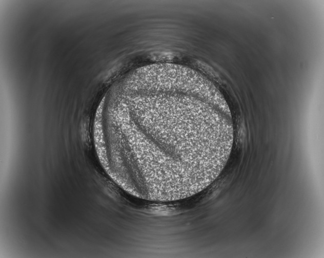 X0000086270616200704262017
