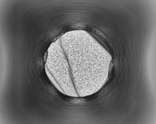 X0000086270617200704262017