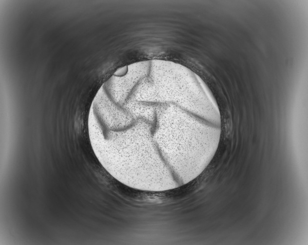 X0000086270618200704262017