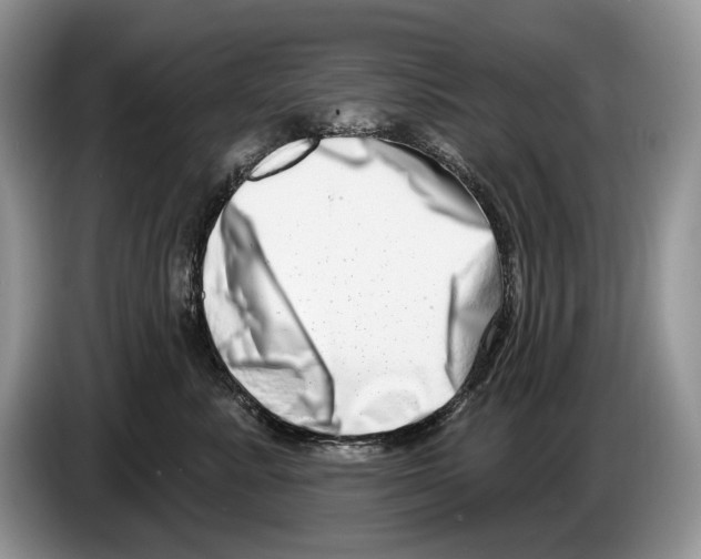 X0000086270619200704262017