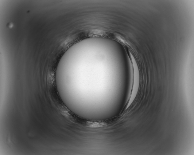 X0000086270621200704262017