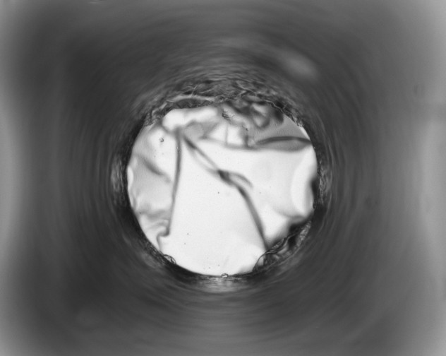 X0000086270623200704262017