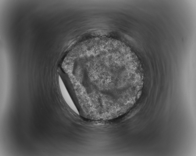 X0000086270624200704262017