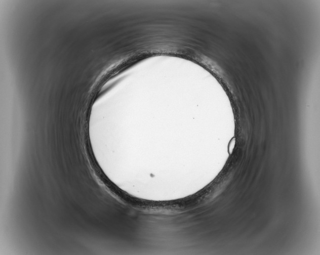X0000086270625200704262017