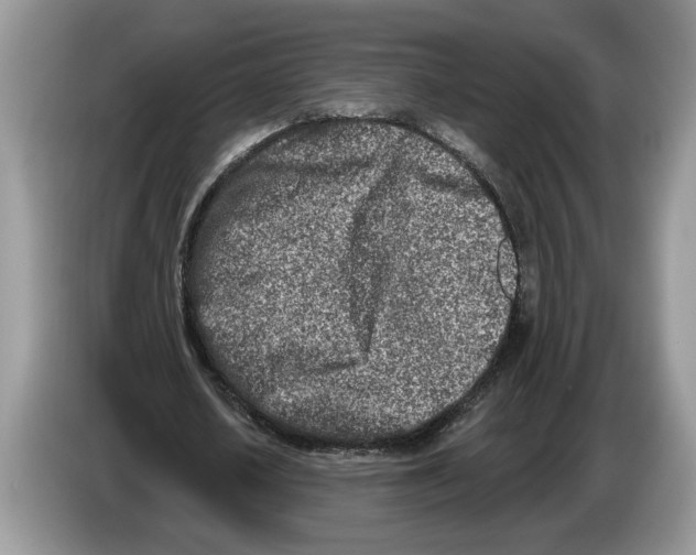 X0000086270626200704262017