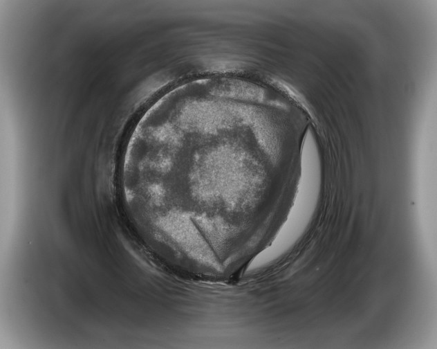 X0000086270627200704262017