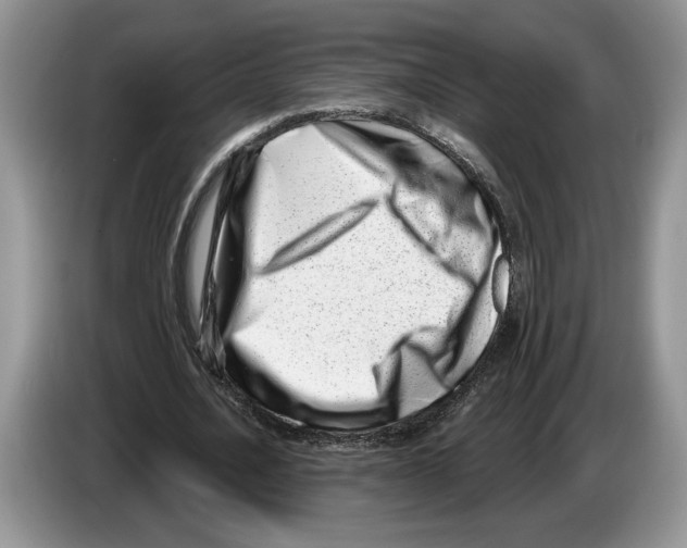X0000086270628200704262017