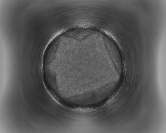 X0000086270630200704262017